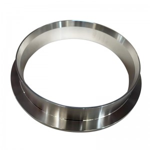 Forged Flange